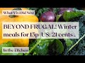 Beyond Frugal! Winter meals for 15p (US: 21 cents).