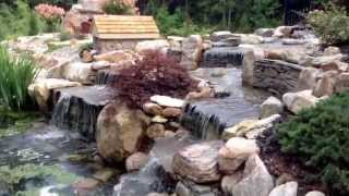 IMG 0451
