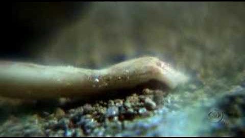 CSI Season 7 Finale Summary