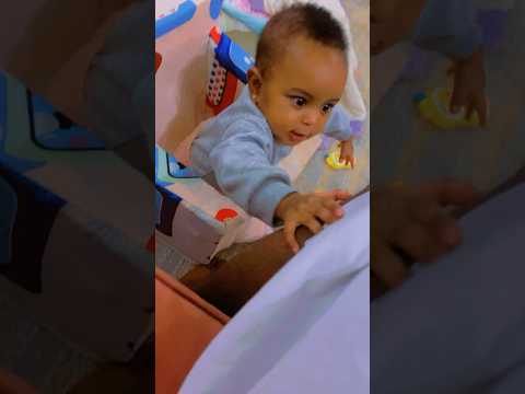 صغير البيت الصوص المدمر 