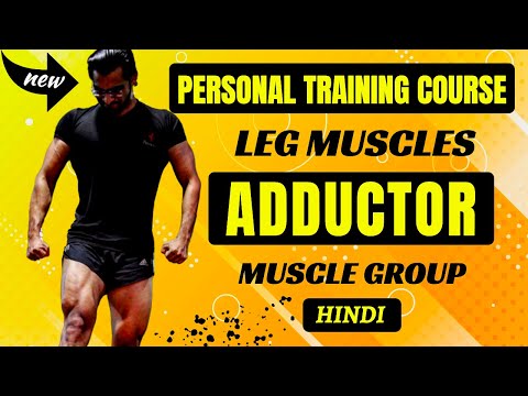 Adductor Muscle Group (अडक्टर मसल्स )|| Personal Training Course