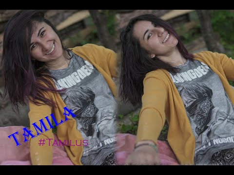 რა არის საჭირო ვლოგერობისთვის.