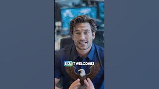 Thrilling Beach Landings