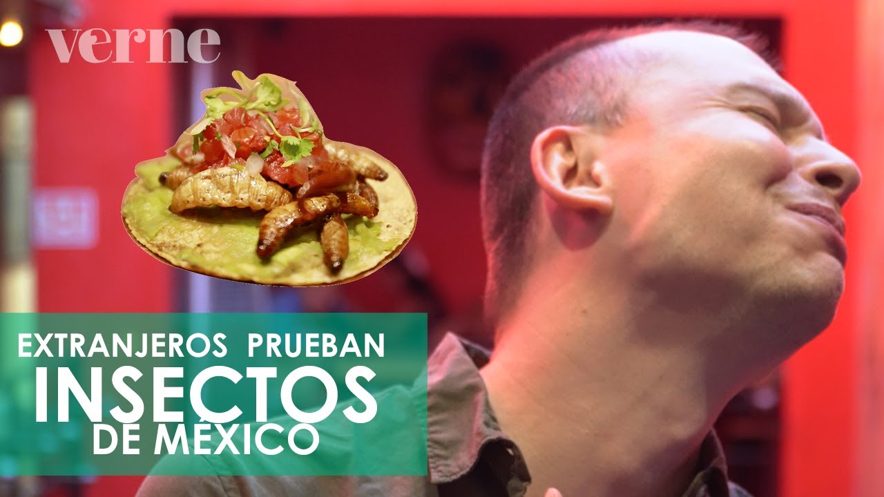 Así reaccionan los extranjeros al probar insectos de la cocina mexicana | VERNE MÉXICO