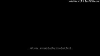 Mark Farina - Mushroom Jazz/Downtempo Forest Track 3