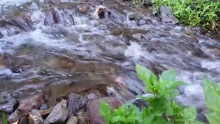 Sound of Mountain Stream Flowing. Relaxing Nature Sounds. Flowing Water, White Noise for Sleeping by River Sounds 101 views 2 weeks ago 1 hour