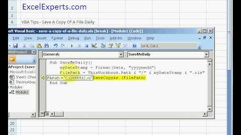 ExcelExperts.com - VBA 팁 - 매일 파일 복사본 저장