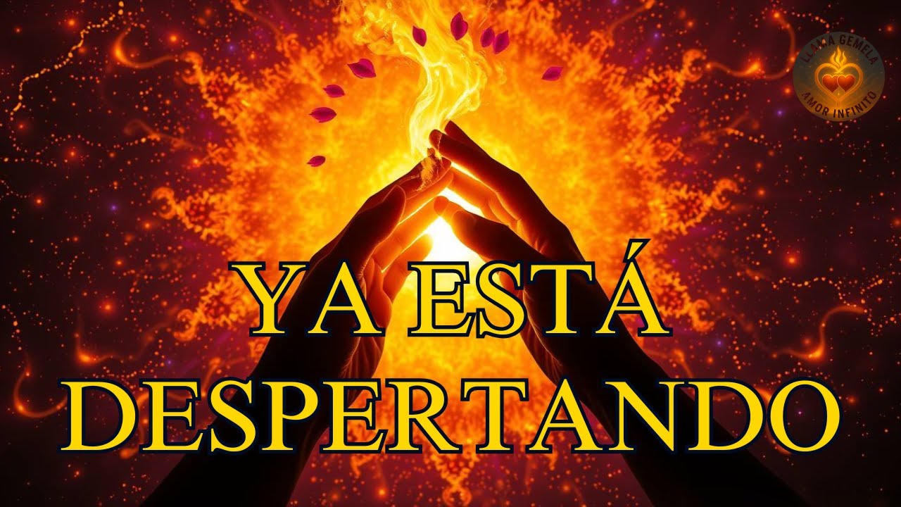 10 Señales Claras de Que Tu Llama Gemela Está Despertando..LAMA GEMELA ...
