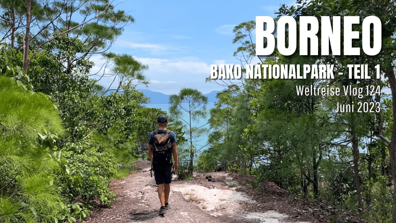 Borneo - Bako Nationalpark Teil 1 | Malaysia • Weltreise Vlog 124 - YouTube