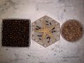 Coasters using Stone coat art resin.. Coffee beans, Star fish and Pinto beans