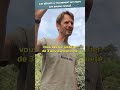 Quand tu es prof et que tu dois faire des voeux de mouvement