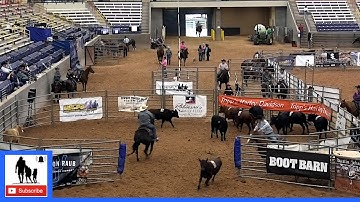 Team Sorting #9 3rd Go 🐂 USTPA World Finals 2021