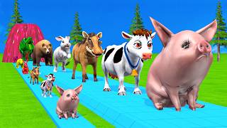 5 Giant Duck Cartoon,Cow,Mammoth,Tiger,Lion,Dinosaur,Paint Wild Animals Crossing Fountain Animation