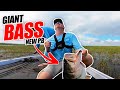 BIGGEST BASS | New Personal BEST!