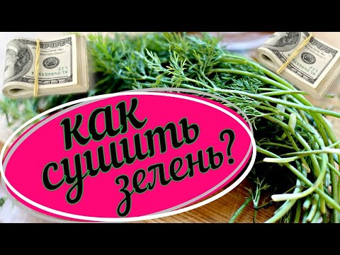 Как правильно сушить зелень с сохранением цвета и аромата