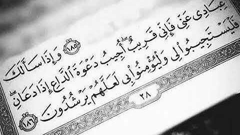 قرآن كريم بصوت القارئ: مشاري العفاسي || أجمل حالات واتس اب دينيه 🖤 || تلاوة خاشعة 🌘😴