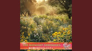 Sparkling Daybreak Tunes