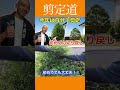 自分で剪定する！！を応援《切り戻し》やってみよう〜っ #庭木の管理 #庭作業 #剪定方法 #切り戻し #庭木の手入れ #庭木の剪定 #初心者