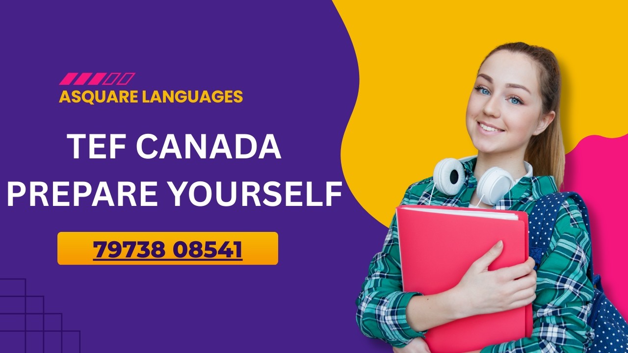 DELF A1 PROGRAM | How Appaar cleared TEF Canada in 1st Attempt (Full Roadmap)