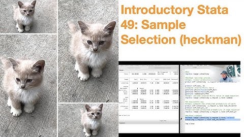 Introductory Stata 49: Sample Selection (Heckman)