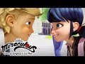 Miraculous Ladybug | 🐞 School Crush Compilation 🐞 | Ladybug and Cat Noir | Animation