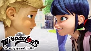 Miraculous Ladybug |  School Crush Compilation  | Ladybug and Cat Noir | Animation