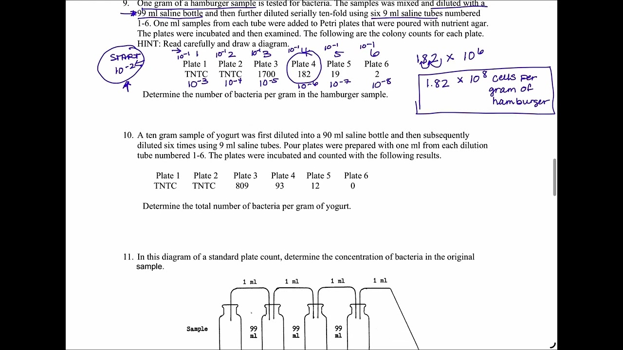 Bacterial Count Problems - Part 2