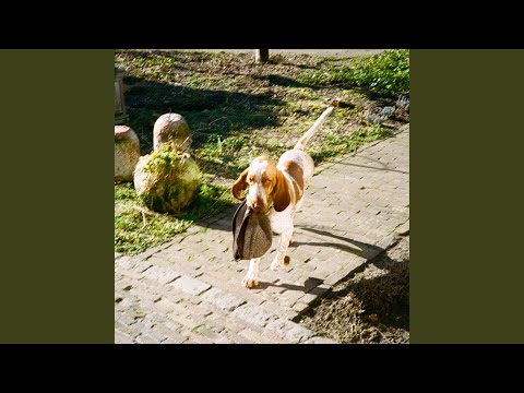 Music Video Preview