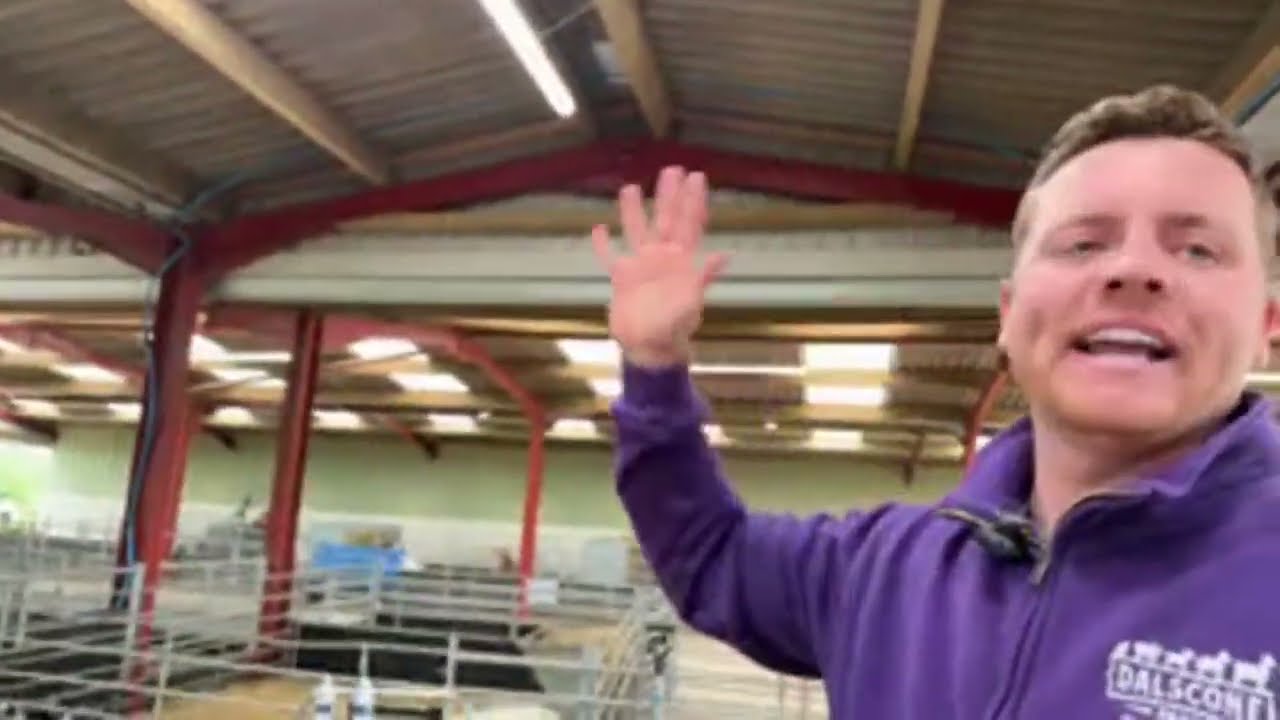 Загадочные рождения! Фермер Бен вернулся!