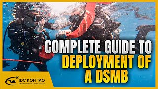 How to Teach Deployment of a DSMB in Open Water: Pro Level for Scuba Diving Training 🤿 #smb #dsmb