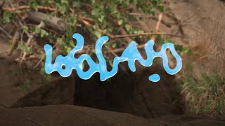Shauvvia - Wolno Official Music Video