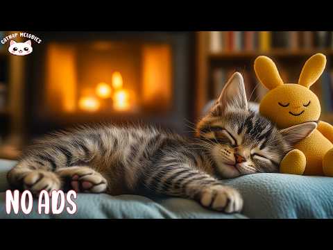 Healing Music for Cats 😽 Calming Sounds for Relaxation, Reduce Stress & Sleep Better