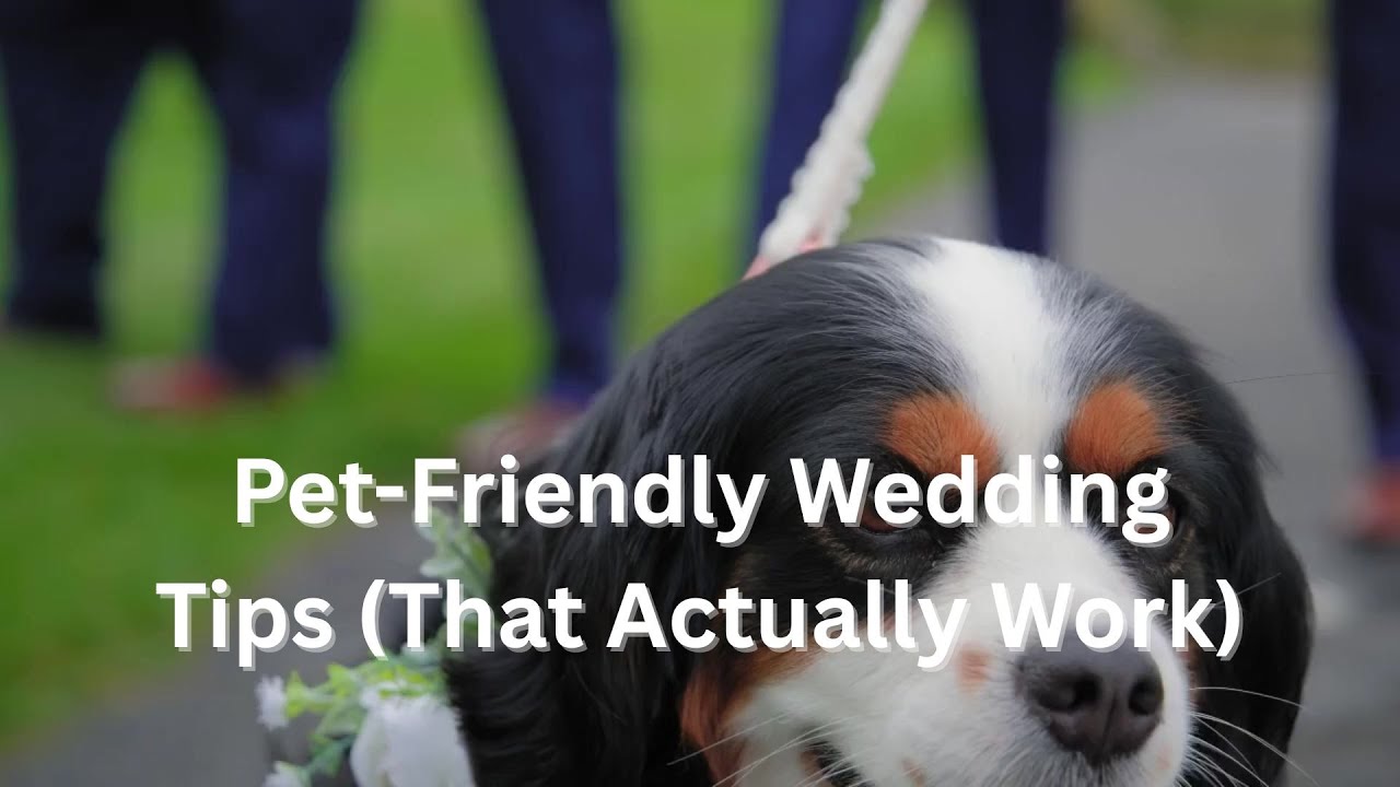 Pet Friendly Wedding Tips That Actually Work