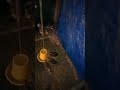 Cek anak ayam di malam hari. Umur 32 hari populasi 500 minus 20 ekor #ayam #ternak #ayamkampung