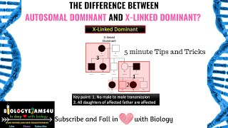 How do you tell the difference between Autosomal Dominant and X-linked Dominant? Simple Tips