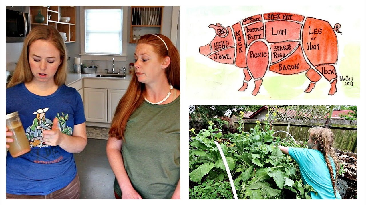 Meat Storage Using Pepper Pepper Preppers Meat Storage - YouTube