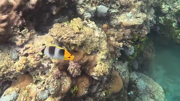 Relax Guam, Gun Beach