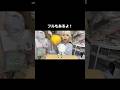 サクじゅわ🍊世界一大きい柑橘類⁉️#asmr #咀嚼音 #mukbang #晩白柚