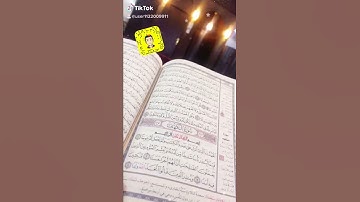 القارئ/عثمان الاركاني