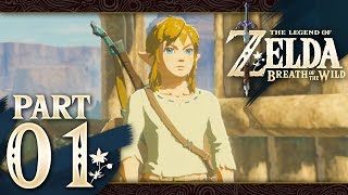 The Legend of Zelda: Breath of the Wild