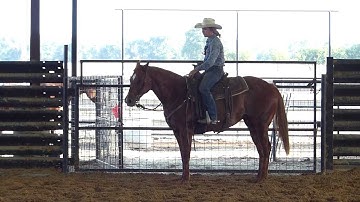 Headliners Dual Star - sorting practice - warming up 2 - View Ranch