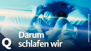 Was passiert im Gehirn wenn man müde ist?