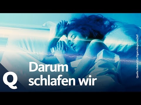 Video: Warum Ist Es Schwierig, An Einem Neuen Ort Zu Schlafen?