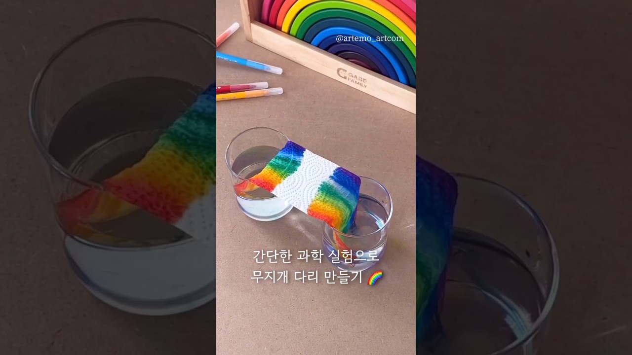 간단한 과학 실험으로 무지개 다리 만들기🌈 #엄마표놀이 #엄마표과학 #엄마표과학실험 #모세관현상 #초간단놀이 #키친타올놀이