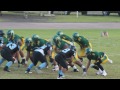 Stallions SOPHOMORE SENSATION! #5