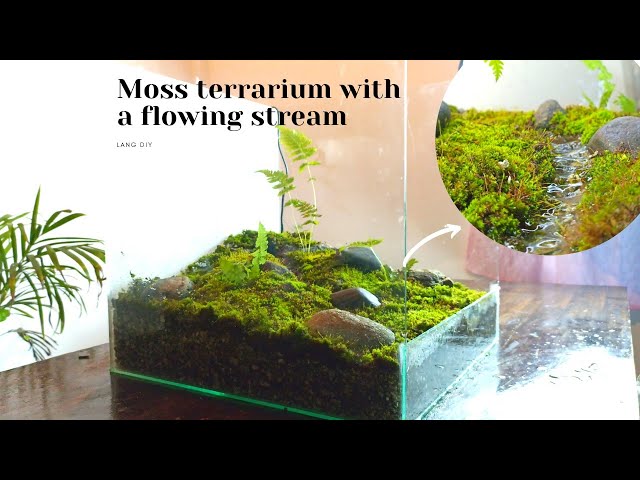 Moss Terrarium (with Pictures) - Instructables