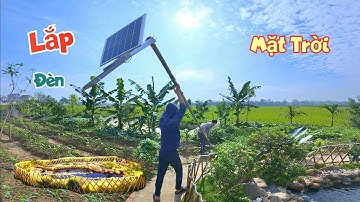 Lắp Thêm Rất Nhiều Đèn Trang Trí Cho Bể Cá Koi Và Lần Đầu Ăn Thử Trứng Công / Quế Nghịch