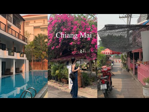 나홀로 치앙마이 일주일 여행🇹🇭여행 중 입사통보 받기. 40도에 가까운 미세먼지 가득 3,4월 치앙마이 그래도 좋아. 수영장 있는 신축 호텔, 라탄 폭풍 쇼핑, 색감 맛집
