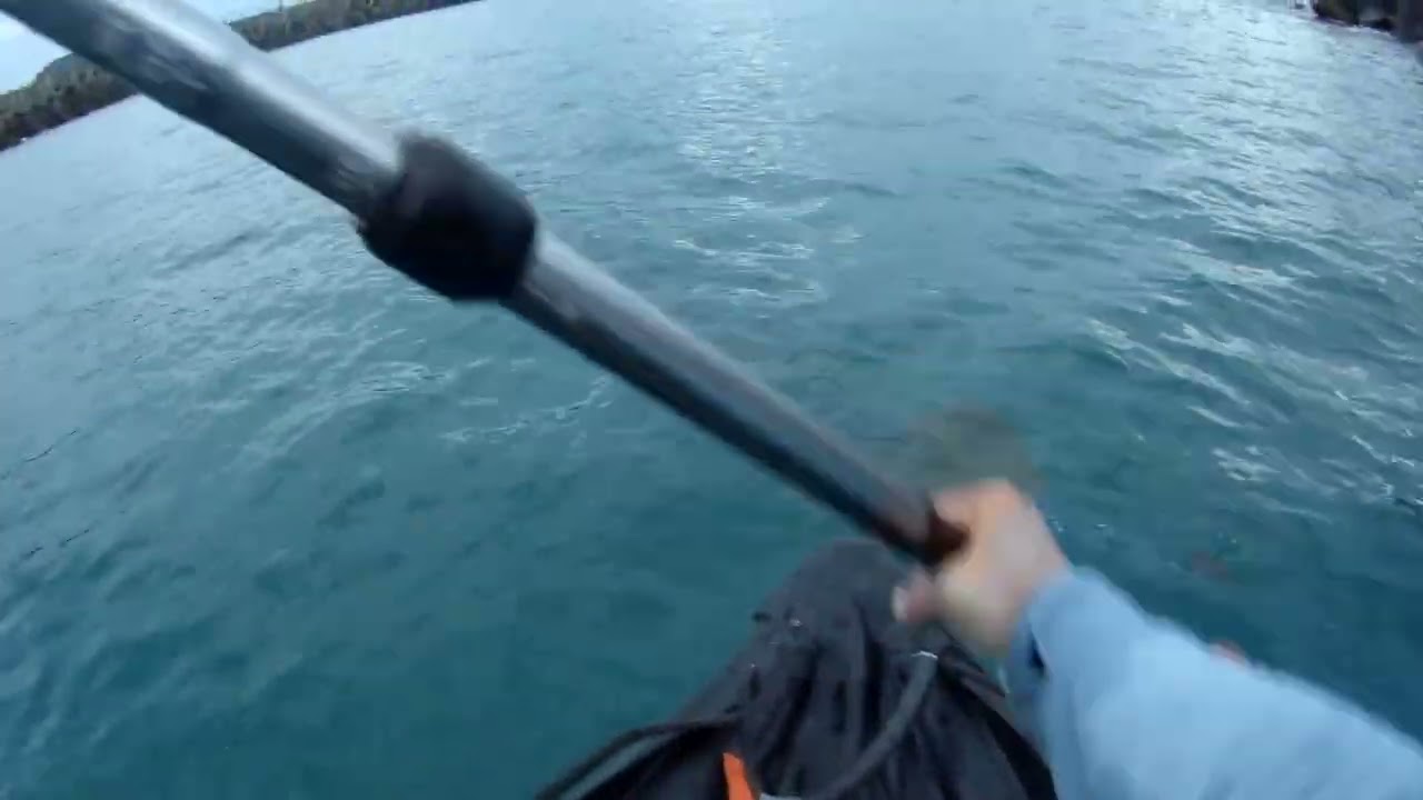 2026 0227 062122 002  與好事一起划出港出海