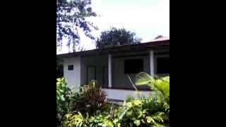 Saoluafata by the ocean